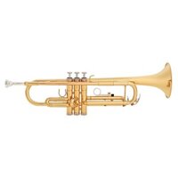 Kèn Trumpet Bb Yamaha YTR3335