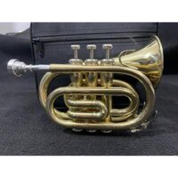 Kèn trumpet, trumpet pocket