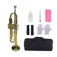 Kèn Trumpet Yamaha TQ TR-100 (màu vàng)