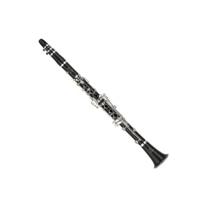 Kèn Yamaha Clarinet YCL-250