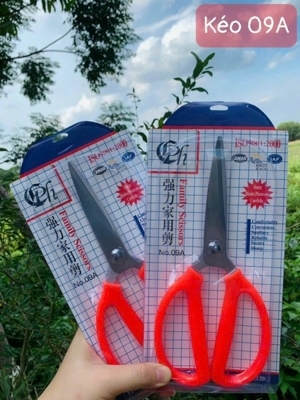 Kéo inox 09A