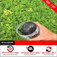 keo bẫy chim 1 hũ 2 lạng keo tái sử dụng