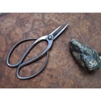 Kéo Bonsai thép trắng cao cấp KIKUWA 18,5cm K5013