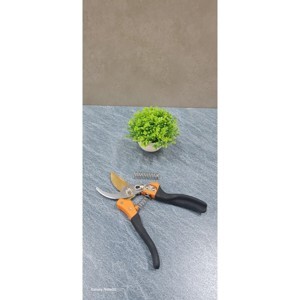 Kéo cắt cành Buddy BD043