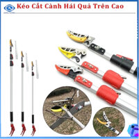 Kéo cắt cành cao, kéo cắt tỉa cây ăn quả đa năng ở độ cao lớn 1,5m, 1,8m