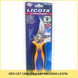 Kéo cắt cành Licota TGP-00387 8inch