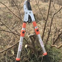 Kéo Cắt Cành Lớn Cộng Lực Có Tăng Độ Dài Cán SK-5 Bền Đẹp