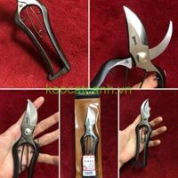 Kéo cắt cành Nhật bản KikuWA