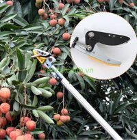 Kéo cắt cành trên cao 3 đoạn Nhật Bản dài 4m Đài loan