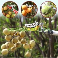 Kéo cắt cành trên cao 3 đoạn dài 3m