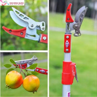 Kéo Cắt Cành Trên Cao, Cưa Cành, Kéo Hái Quả Dài 3m DCMI