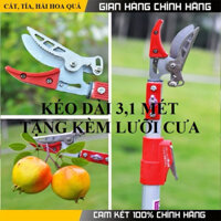 kéo cắt cành trên cao dài 3m thu gọn