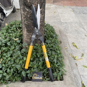 Kéo cắt hàng rào tăng đưa Tolsen 31024