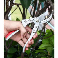 Kéo Cắt Tỉa Cành Cây Sk5 Sada 210 Nhật Bản 210mm Cộng Lực Thép Không Gỉ , dụng cụ cắt tỉa cành cây ,nhánh cây hàng khẩu