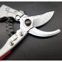 Kéo Cắt Tỉa Cành SADA 210 Nhật Bản (cây giống quỳnh anh)