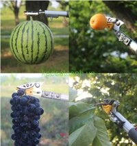 kéo cắt tỉa cành trên cao 3m đài loan