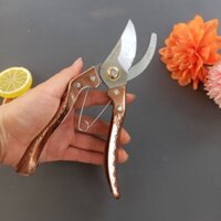 Kéo cắt tỉa cây cảnh bon sai kéo bấm cành thép SK5 siêu sắc