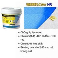 Keo chà ron cho hồ bơi Weber color HR