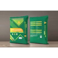 Keo dán gạch Apollo S600 eco