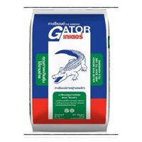 Keo Dán Gạch Cá Sấu Gator – Crocodile Gator Keo Dán Gạch Gốc Xi Măng Độ Bám Dính Cao