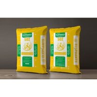 Keo dán gạch Elephants 502