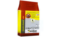 Keo dán gạch WEBER.COLOR PLUS DS65840