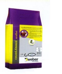 Keo dán gạch WEBER.COLOR OUTSIDE DS9847329