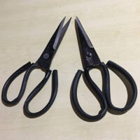 Kéo đen nhỏ-trung