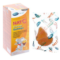 Kẹo dẻo Nat C Yummy Gummyz hỗ trợ tăng đề kháng (Hộp 25 túi)