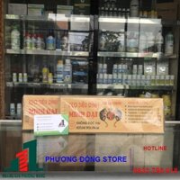 Keo dính chuột hộp giấy thế kỉ,minh phương