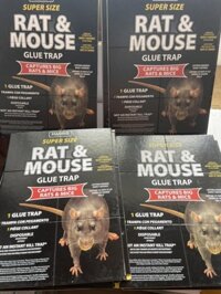 Keo dính chuột - Keo bẫy chuột siêu dính HARRIS sz lớn (đen)