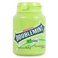 Kẹo Doublemint hũ Bạc hà 58,4g