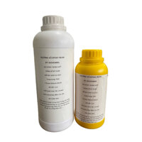 Keo epoxy trong suốt khối 5cm 3623 3A:1B bộ 1kg