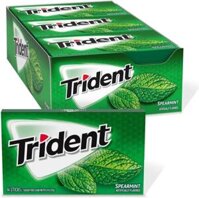 Kẹo Gum không đường Trident vị bạc hà – Hộp 12 thanh