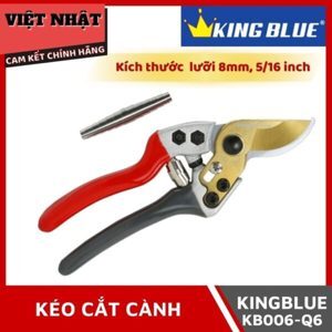 Kéo KingBlue KB006-Q6
