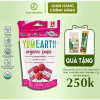 Kẹo mút hữu cơ hương vị trái cây Yumearth 14 chiếc