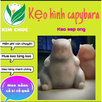 kẹo sap hình capybara nhâm mứt trái cây