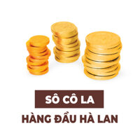 Kẹo sô cô la đồng tiền vàng Steenland 20g Sô cô la chất lượng hàng đầu Hà Lan