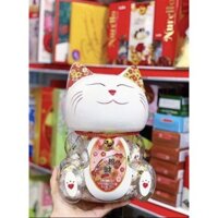 Kẹo socola  mèo thần tài: 115k/hộp