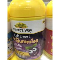 KẸO TĂNG CƯỜNG SỨC ĐỀ KHÁNG CHO BÉ NATURE’S WAY KIDS SMART VITAGUMMIES