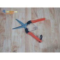 Kéo thu hoạch lưỡi thẳng AG-10 Saboten Nhật Bản