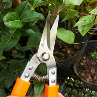 Kéo Tỉa Cành - Chi Dăm Thép Sk5 Nhật Bản Màu Cam