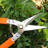 Kéo Tỉa Cành - Chi Dăm Thép SK5 Nhật Bản