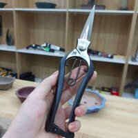 Kéo Tỉa Cành Dăm, Tỉa Lá, Cành Nhỏ Cây Bonsai, Cây Cảnh Nhật Bản Hãng Kikuwa