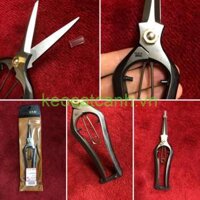 Kéo Tỉa cành Nhật bản KikuWA