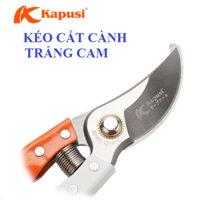 Kéo tỉa cây Nhật Bản Kapusi cao cấp trắng cam thép SK5, cấu tạo lò xo đặc biệt cỡ 8 inch (20cm) bảo hành 2 năm