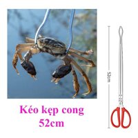 Kẹp Bắt Lươn Rắn Hải Sản Cua Ghẹ Tôm Hùm Chuyên Dung Tiên Lơi DCC3 đồ câu FISHINGHD - Cong 52cm