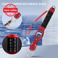 Kẹp Câu Cá Với Cân Trọng Lượng Câu Cá Grabber Dụng Cụ Kẹp Môi Cho Người Mới Bắt Đầu Câu Cá D2c4