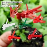 Kẹp ghép cà tím Kẹp ghép cây trồng trong nhà Kẹp hỗ trợ cho dưa chuột Cà tím Cà chua Dưa hấu Dụng cụ làm vườn mearnvn