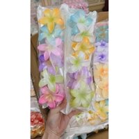 KẸP HOA SỨ 125K/12 CÁI